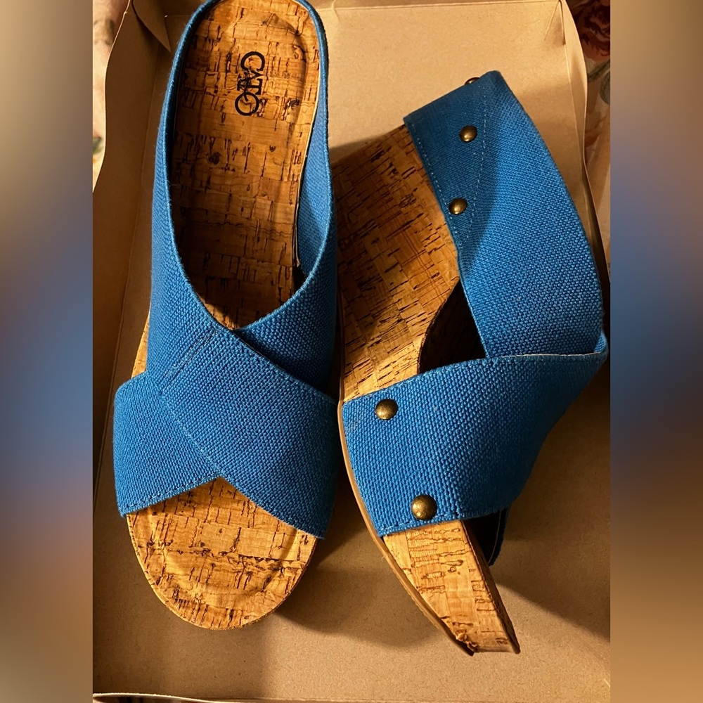 Cato Blue Cork Wedge Mules